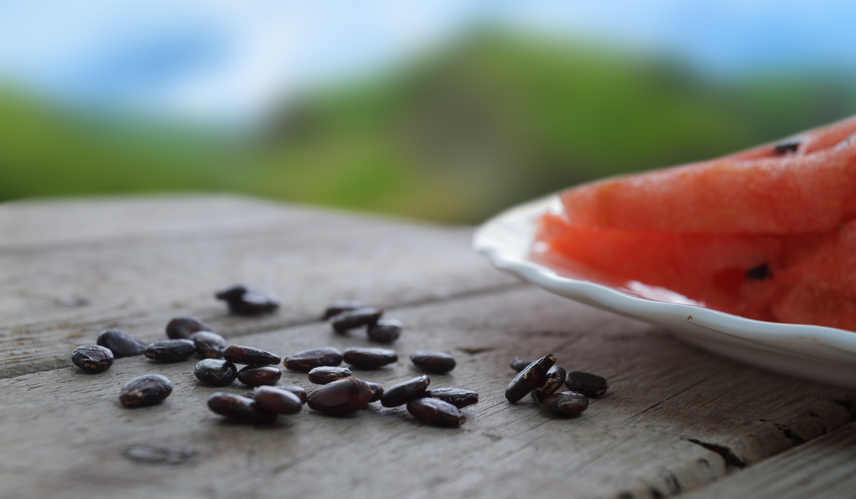 Watermelon Seeds 2